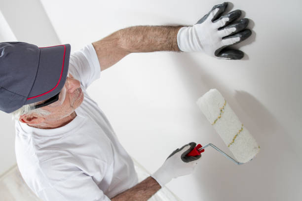 Best HVAC Mold Inspection and Cleaning  in Mentor, OH