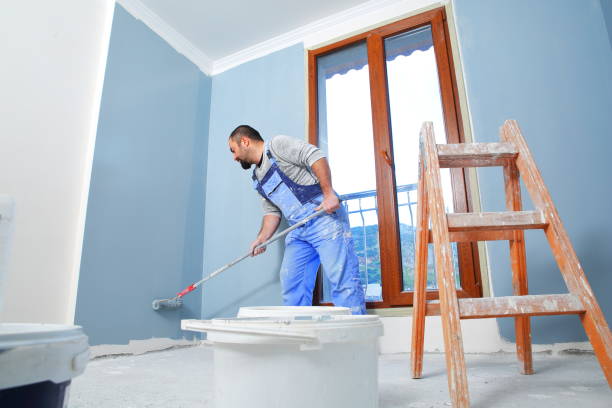 Best Black Mold Removal  in Mentor, OH