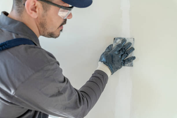 Best Black Mold Removal  in Mentor, OH