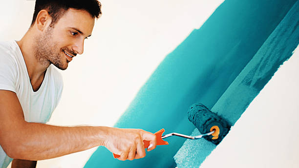 Best Attic Mold Removal  in Mentor, OH